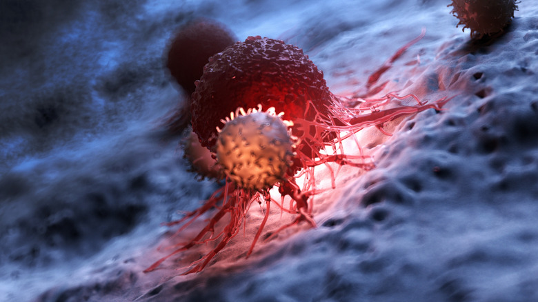 blood cells are shown attacking a cancer cell in closeup