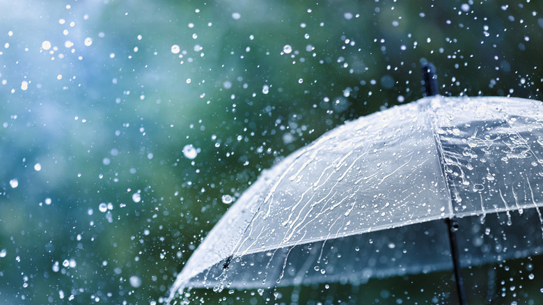 Heavy rain falls on an umbrella