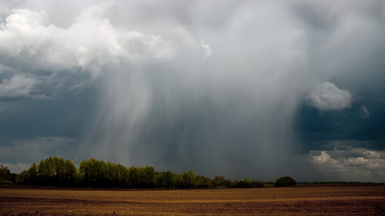 Heavy rain pours out of dark clouds onto a plowed field