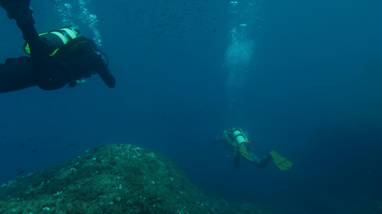 Scuba divers swimming over underwater rock formation.