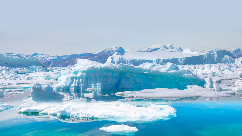 Melting iceberg and glacier edge in the ocean