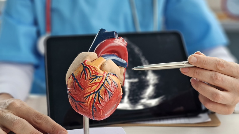 Doctor pointing to model of heart with imaging in background