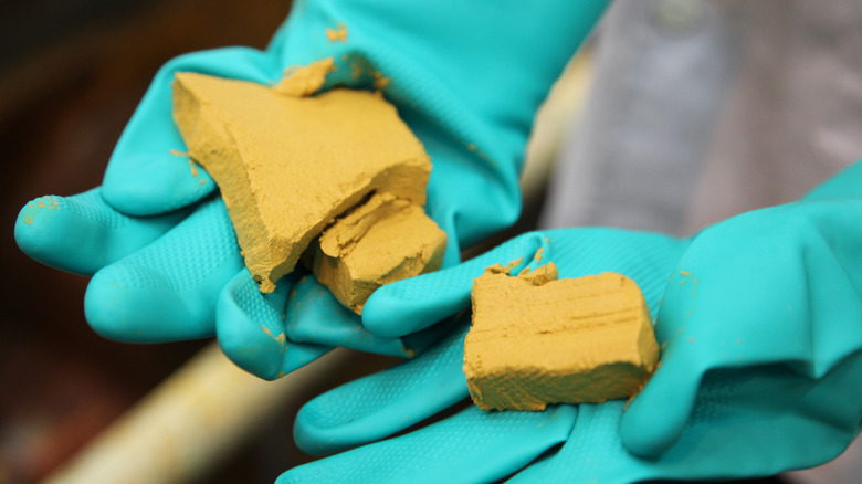 Uranium processing plant worker holding uranium with green gloves on