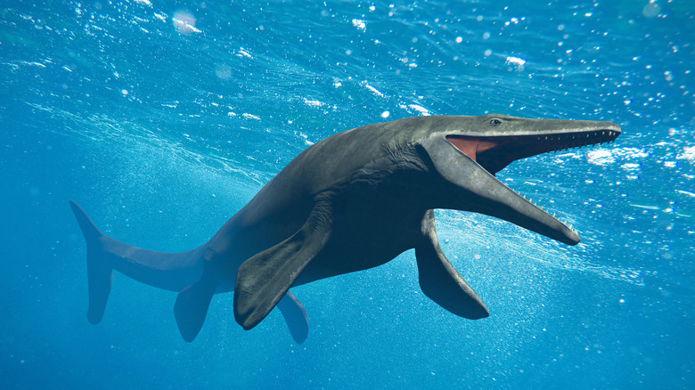 3D illustration of a mosasaur underwater