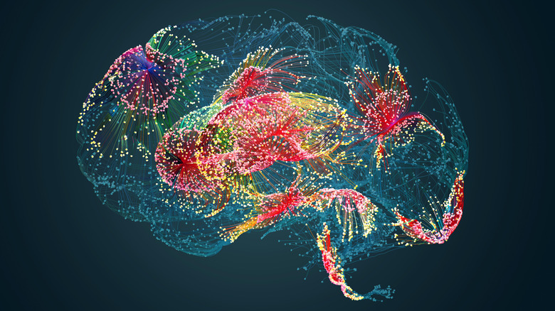 An abstract image representing circuitry of the brain, wherein sections of the brain are lit up with different colors to represent neurological activity.