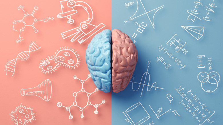 The brain hemispheres represented in blue and pink over backgrounds of the opposite colors that contain equations and biological imagery.