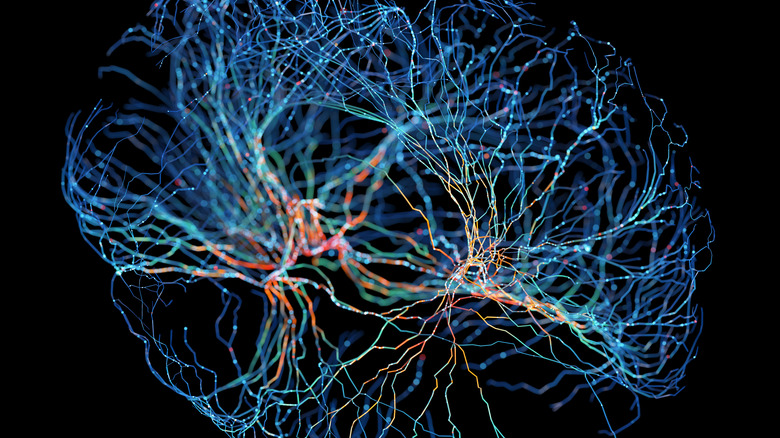 A network of neurons glowing against a black background