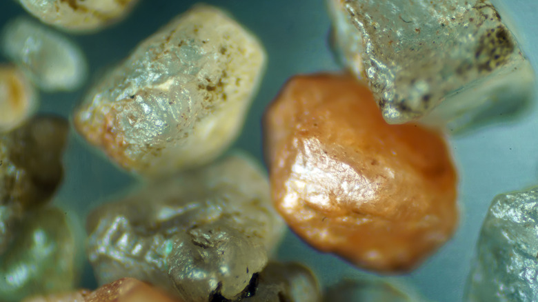 Sand grains are seen in extreme closeup