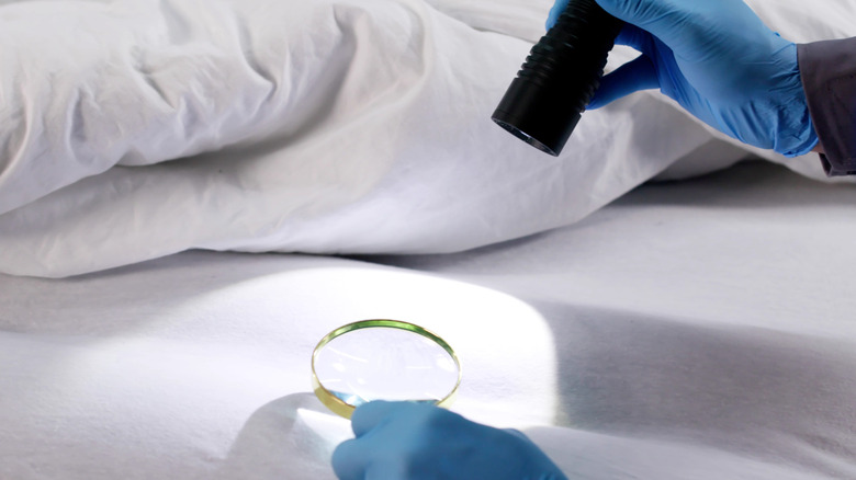 Person inspecting a mattress with blue gloves, a flashlight, and a magnifying glass