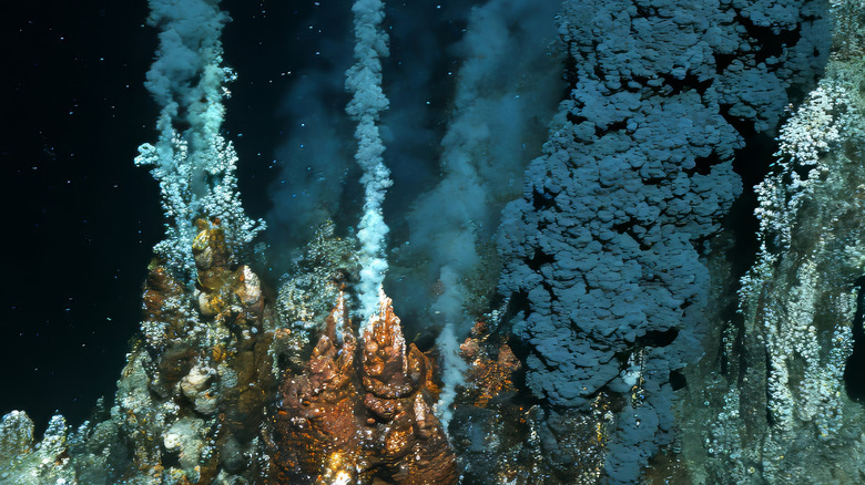 Dark plumes rising from hydrothermal vents on Earth's ocean bottom