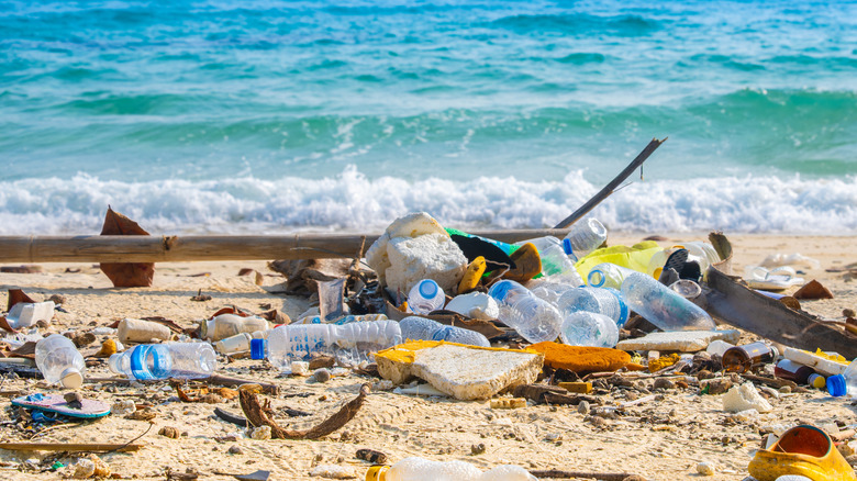 Trash on a beach