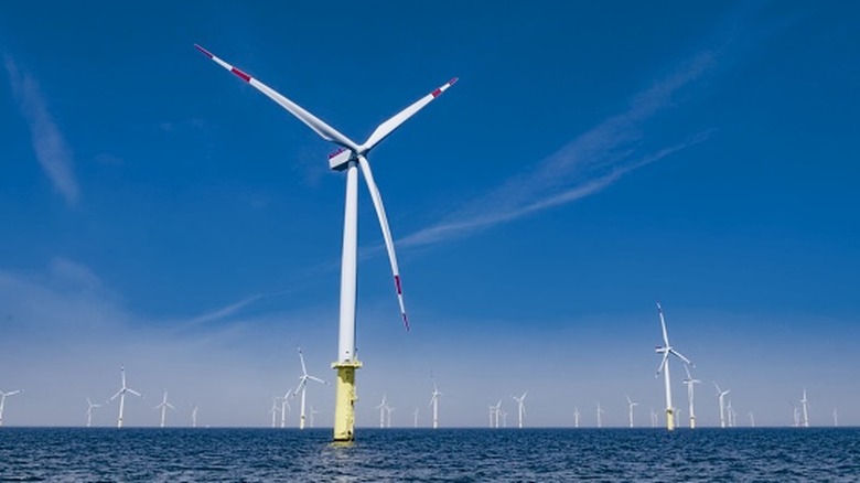 Wind turbines in an offshore wind farm.