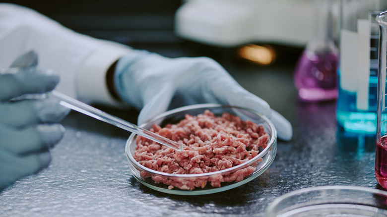 Scientist places syringe into a dish of ground beef