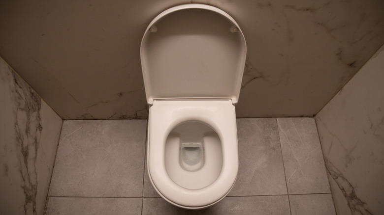 white toilet bowl in marble bathroom