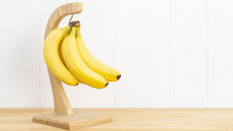 Fresh bananas hanging from a stand on a wood counter with a white wall background