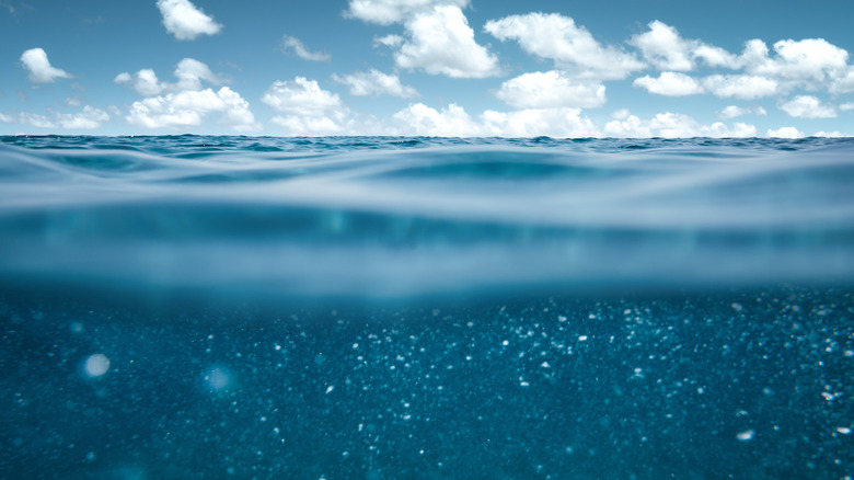 Perspective view of the ocean and sky