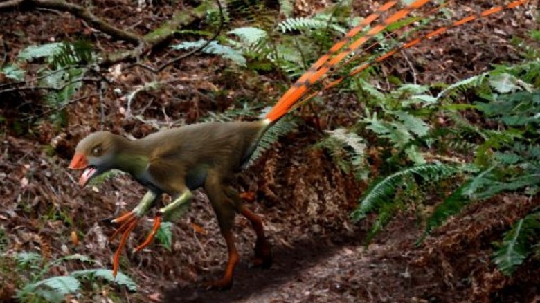 Small dinosaur walks along forest floor with ferns and dead leaves in background, mouth open and four long tail feathers