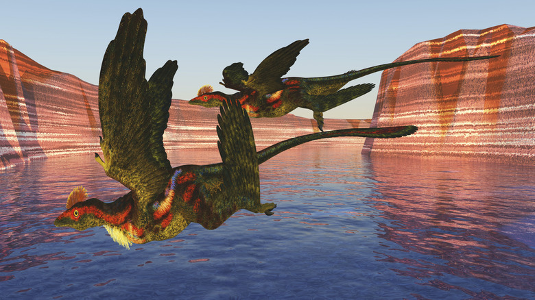 An illustration of two Microraptors gliding over a river in a canyon
