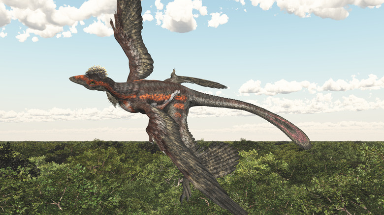 An illustration of a Microraptor gliding over a forest