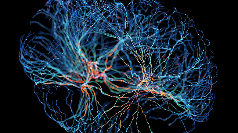 A 3D model of neurons with glowing connections against a black background
