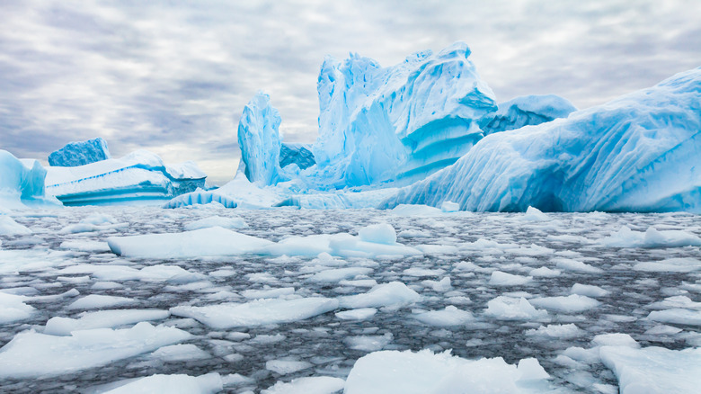 Broken ice floats in Antartica
