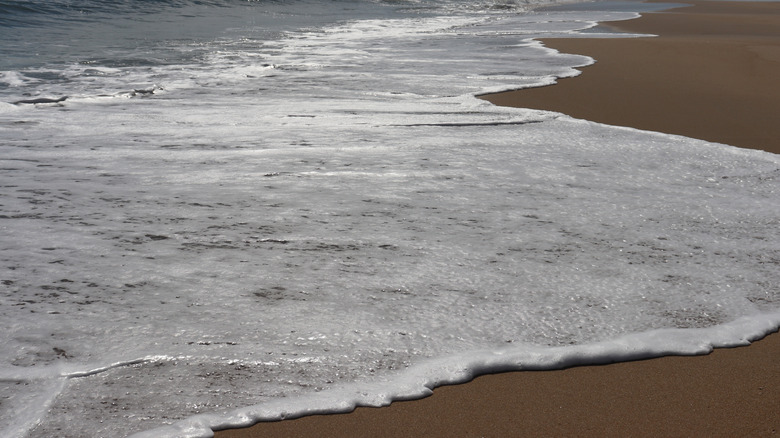 Tide waters rising on a beach