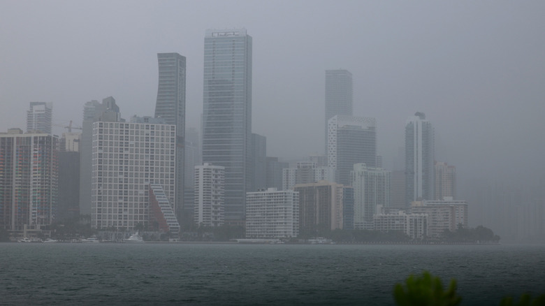 Rainy Miami skyline
