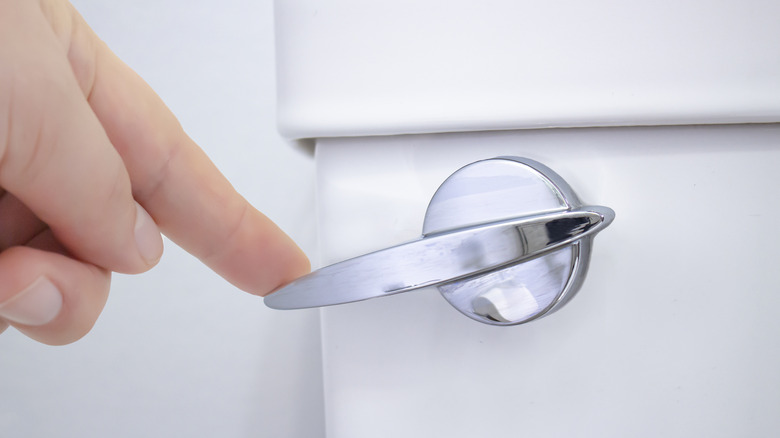 Hand flushing a toilet