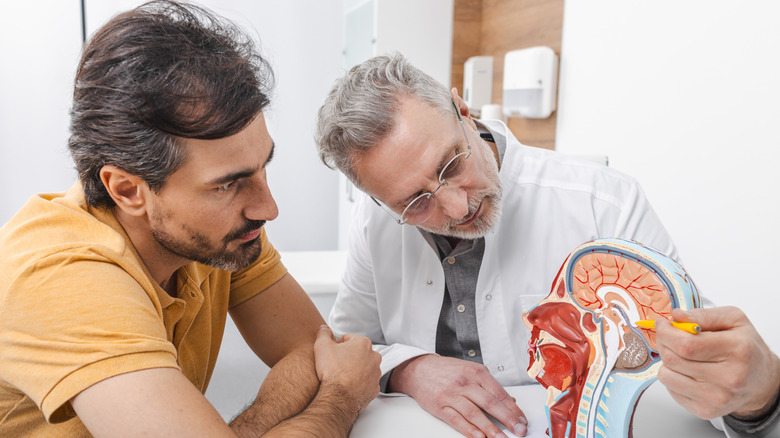 A neurologist pointing to model of the brain to male patient