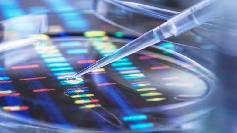 DNA sequencing platform up-close