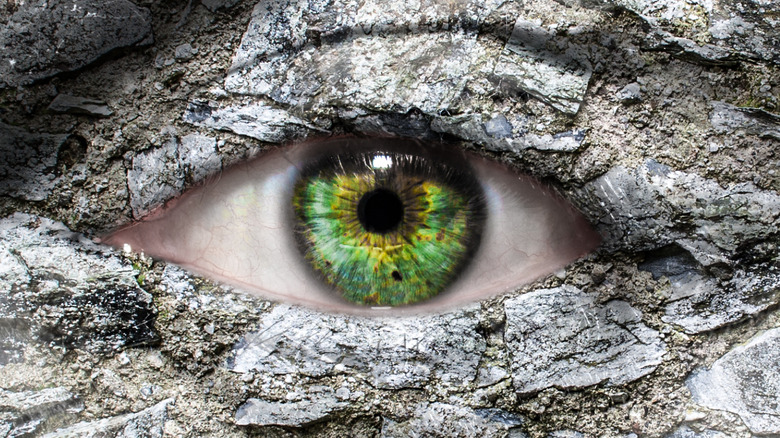 Close-up of a green eye with stone skin surrounding it