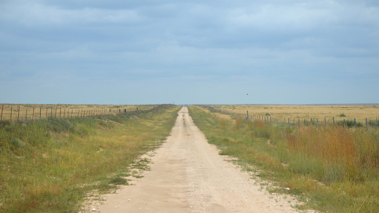 A dirt road in the Rita Blanca National Grassland in Dallam County running straight in grasslands