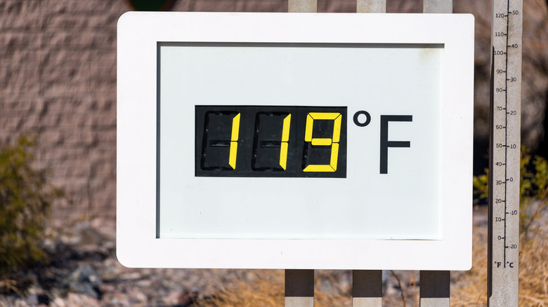 Digital thermometer reading 119 degrees Fahrenheit