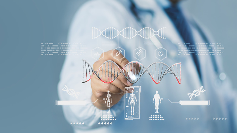 Scientist presses transparent, futuristic screen with stylus, showing human dna