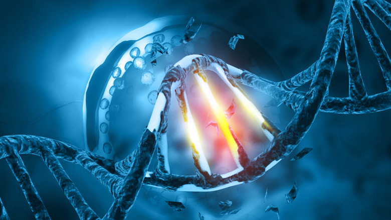 digitally illustrated image of DNA structure with fiery glow in middle base pairs