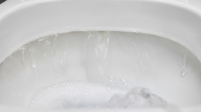 Water jets flowing into toilet bowl during flush