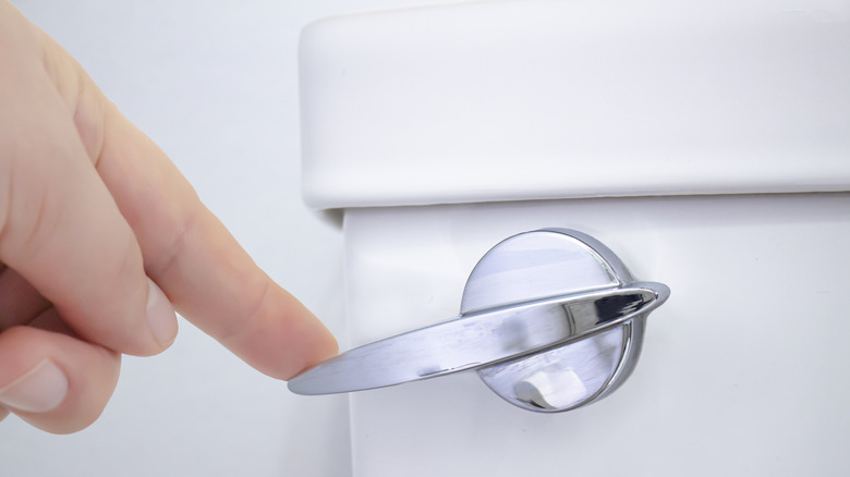 A hand presses the flush handle on a toilet