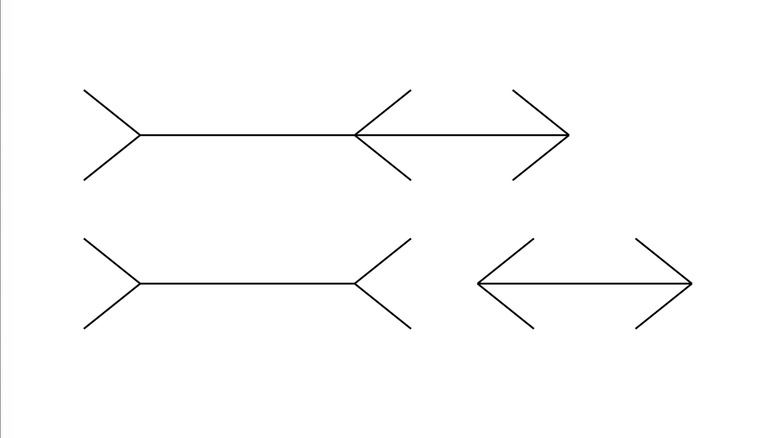 Muller-Lyer illusion