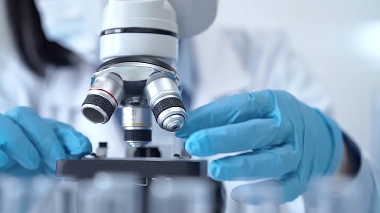 A close-up of gloved hand placing a slide on a microscope.