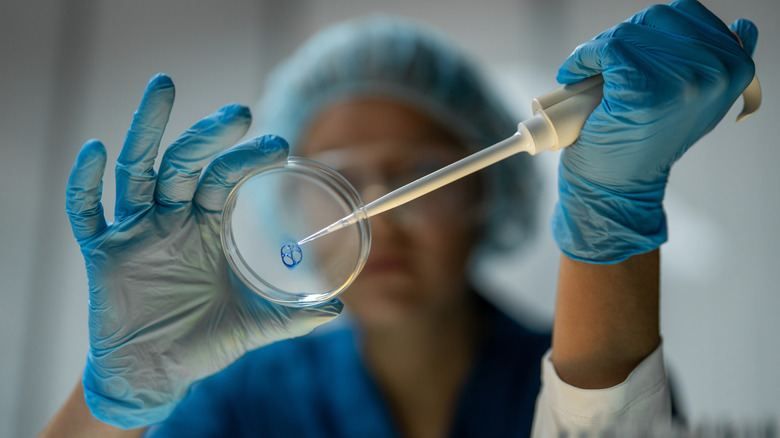 A person in PPE pipettes a solution onto a petri dish.