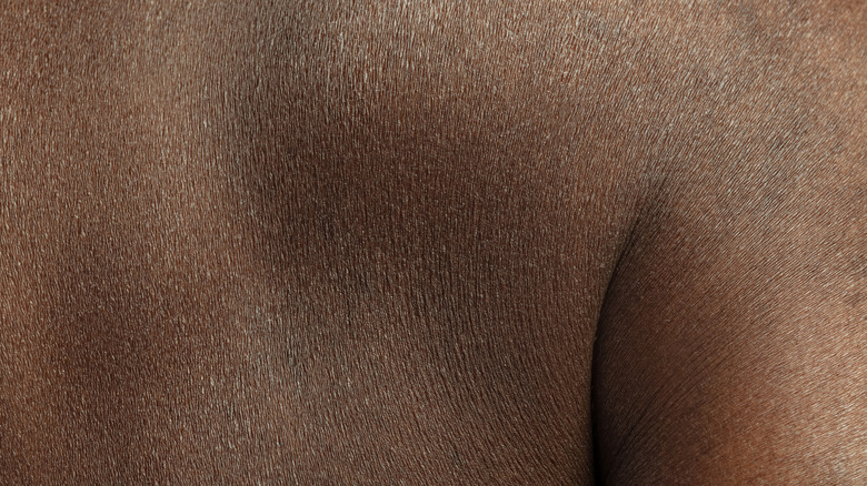 macro photograph of human skin