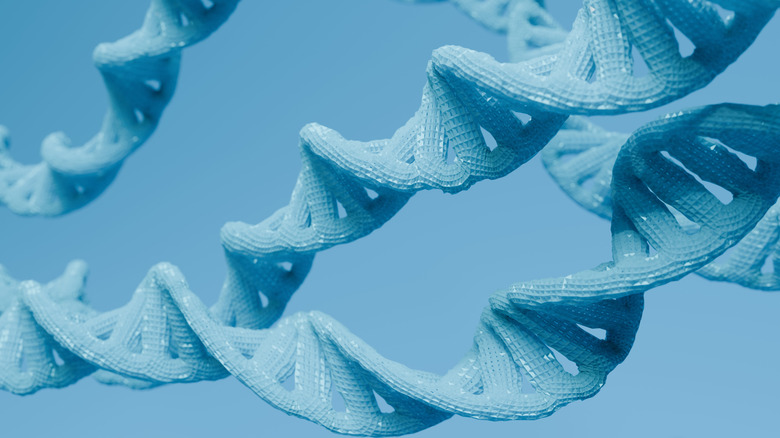 digital illustration of DNA double helix