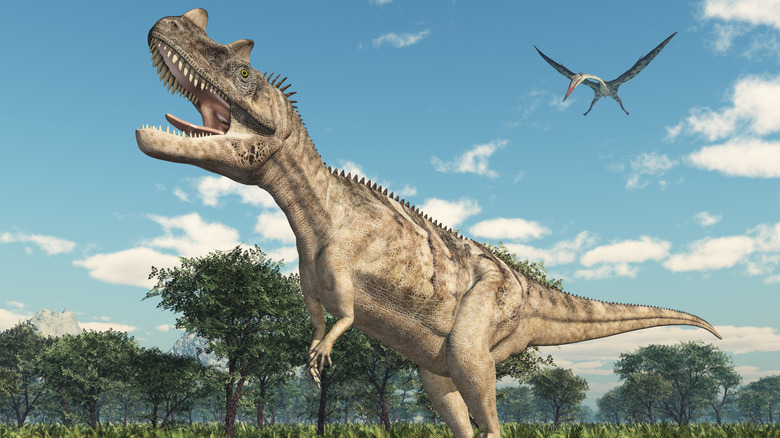 Cretaceous theropod and bird