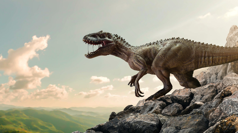 theropod dinosaur roaring on a clifftop