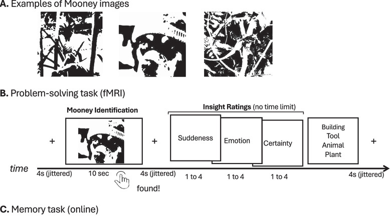Examples of Mooney Images used in the study