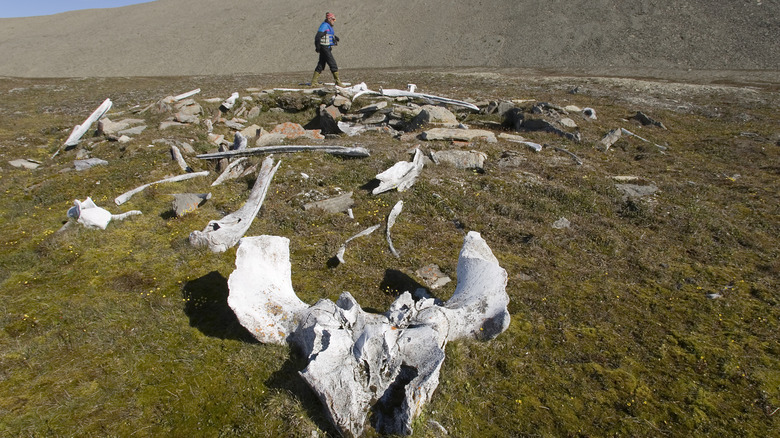 A landscape from Devon Island with a person walking in the background.