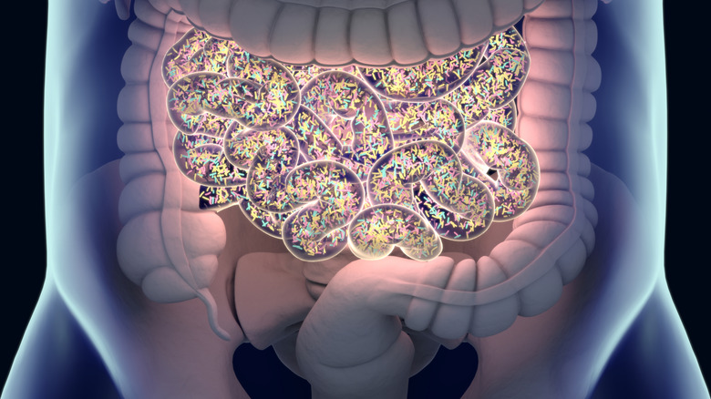 CGI image of human torso with inside view of gut populated by bacteria