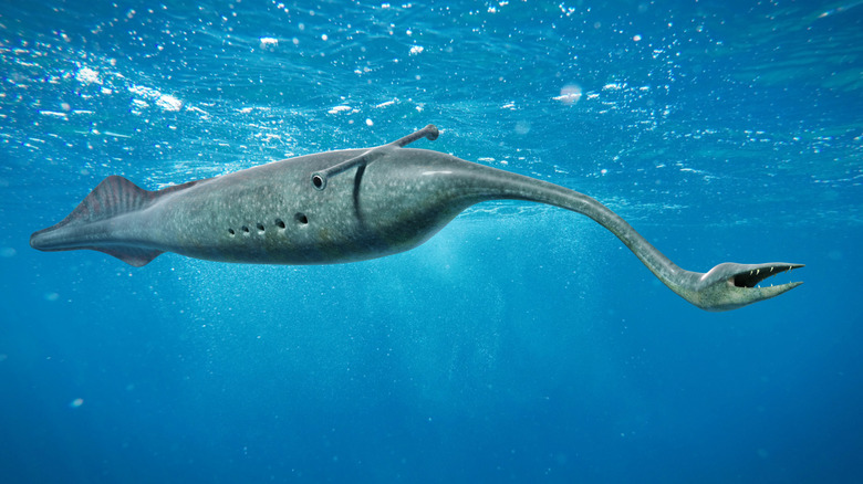 An illustration of what a Tully monster might have looked like.