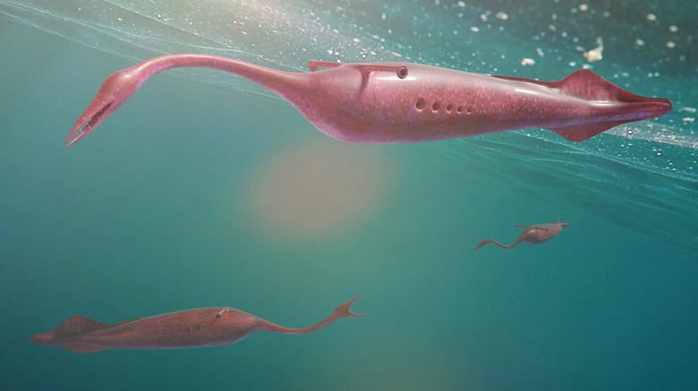 An illustration of three Tully monsters swimming.
