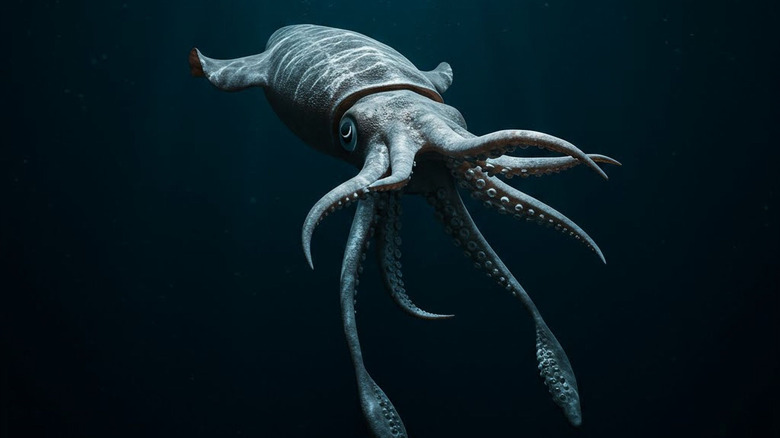 Realistic concept of a giant squid in the deep sea